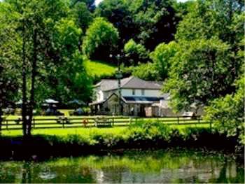 The Turtley Corn Mill Hotel South Brent Ngoại thất bức ảnh